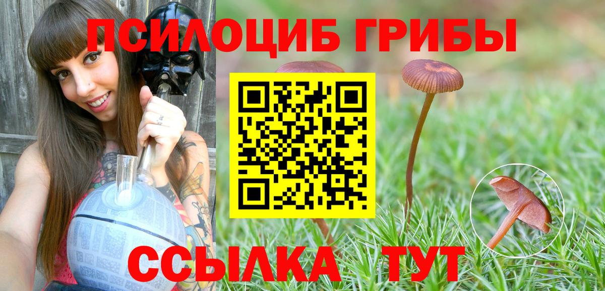 Псилоцибиновые грибы мицелий  Вход с VPN  Коломна 